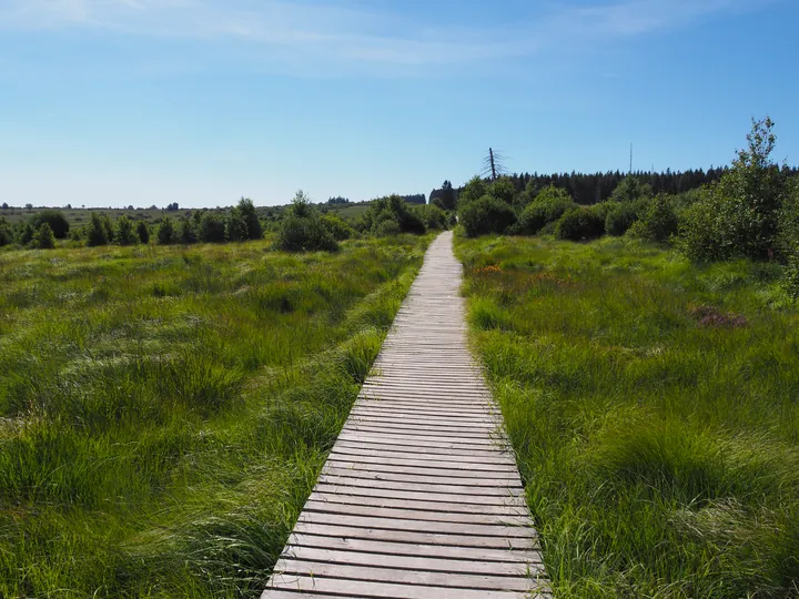 Signal de Botrange (Belgium)